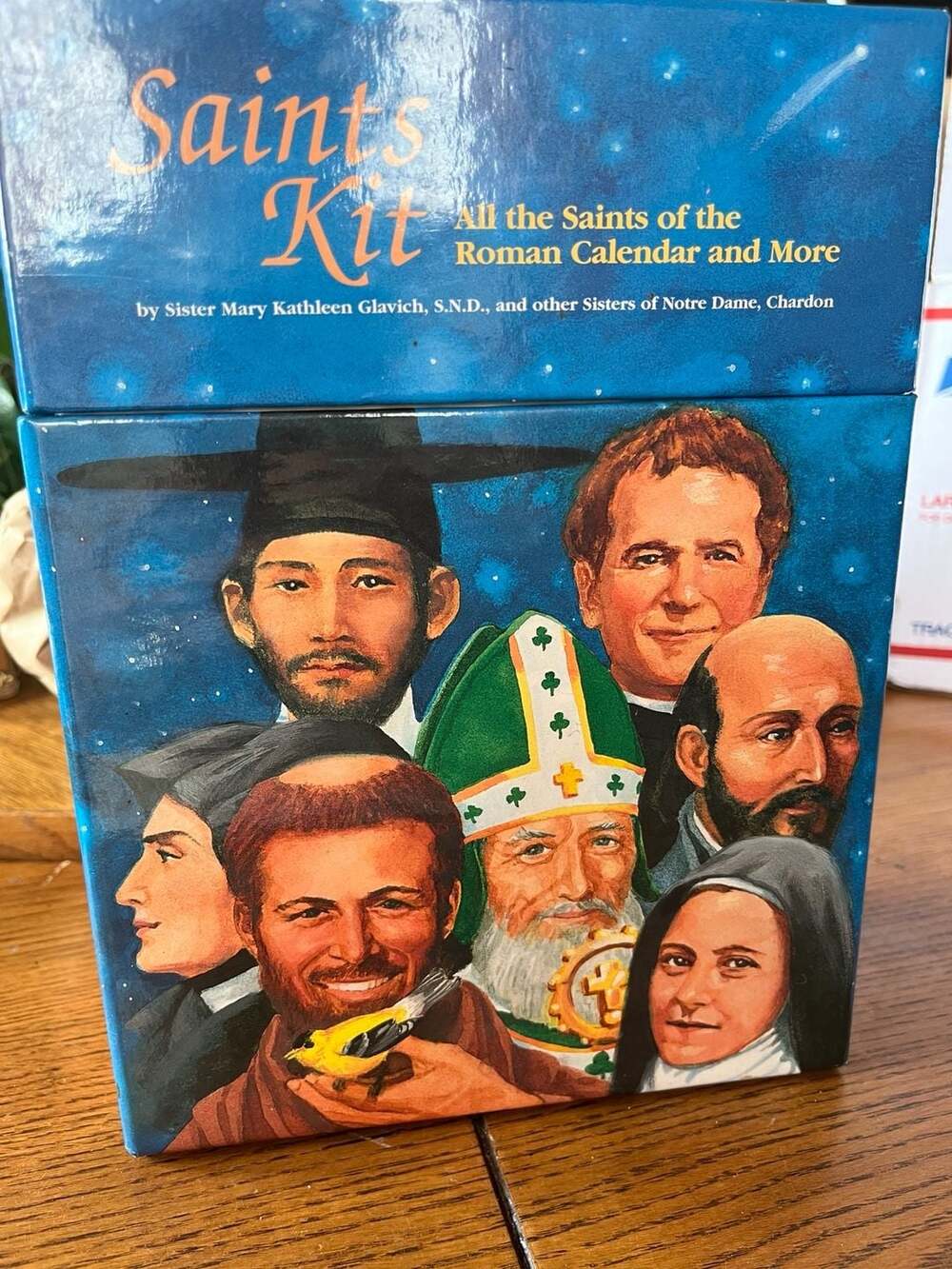 Saints Kit: All the Saints of the Roman Calendar and More by Sister Mary Kathlee